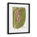 Hojas De Los Trópicos I - Vision Studio | Cuadro decorativo de Canvas Lab