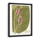 Hojas De Los Trópicos I - Vision Studio | Cuadro decorativo de Canvas Lab