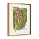Hojas De Los Trópicos I - Vision Studio | Cuadro decorativo de Canvas Lab