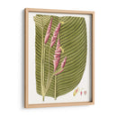Hojas De Los Trópicos I - Vision Studio | Cuadro decorativo de Canvas Lab