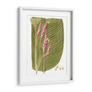 Hojas De Los Trópicos I - Vision Studio | Cuadro decorativo de Canvas Lab