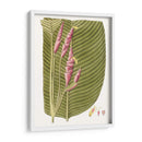 Hojas De Los Trópicos I - Vision Studio | Cuadro decorativo de Canvas Lab