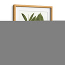 Hojas De Los Trópicos Iv. - Vision Studio | Cuadro decorativo de Canvas Lab
