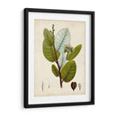 Follaje Verde I - Vision Studio | Cuadro decorativo de Canvas Lab