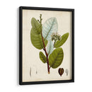 Follaje Verde I - Vision Studio | Cuadro decorativo de Canvas Lab