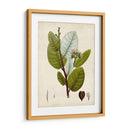 Follaje Verde I - Vision Studio | Cuadro decorativo de Canvas Lab