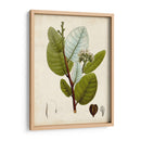 Follaje Verde I - Vision Studio | Cuadro decorativo de Canvas Lab