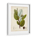 Follaje Verde I - Vision Studio | Cuadro decorativo de Canvas Lab