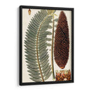 Variedades De Hojas Iv - Vision Studio | Cuadro decorativo de Canvas Lab