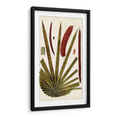 Variedades De Hojas Vi - Vision Studio | Cuadro decorativo de Canvas Lab