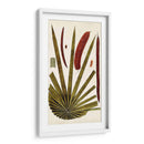 Variedades De Hojas Vi - Vision Studio | Cuadro decorativo de Canvas Lab