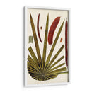 Variedades De Hojas Vi - Vision Studio | Cuadro decorativo de Canvas Lab