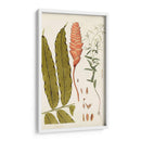 Variedades De Hojas Vii - Vision Studio | Cuadro decorativo de Canvas Lab