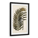 Variedades De Hojas Viii - Vision Studio | Cuadro decorativo de Canvas Lab