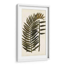 Variedades De Hojas Viii - Vision Studio | Cuadro decorativo de Canvas Lab