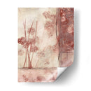 Flores Enmarcadas Ii - Jennifer Goldberger | Cuadro decorativo de Canvas Lab