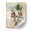 Caja De Música Floral Ii - Jennifer Goldberger | Cuadro decorativo de Canvas Lab