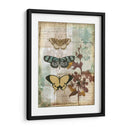 Caja De Música Mariposas I - Jennifer Goldberger | Cuadro decorativo de Canvas Lab