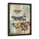 Caja De Música Mariposas I - Jennifer Goldberger | Cuadro decorativo de Canvas Lab