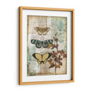 Caja De Música Mariposas I - Jennifer Goldberger | Cuadro decorativo de Canvas Lab