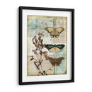 Caja De Música Mariposas Ii - Jennifer Goldberger | Cuadro decorativo de Canvas Lab