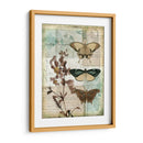 Caja De Música Mariposas Ii - Jennifer Goldberger | Cuadro decorativo de Canvas Lab