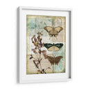 Caja De Música Mariposas Ii - Jennifer Goldberger | Cuadro decorativo de Canvas Lab