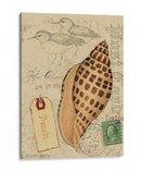 Conchas De Postal I - Nancy S. Pallan | Cuadro decorativo de Canvas Lab