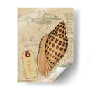 Conchas De Postal I - Nancy S. Pallan | Cuadro decorativo de Canvas Lab