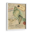 Cáscaras De Postal Ii - Nancy S. Pallan | Cuadro decorativo de Canvas Lab