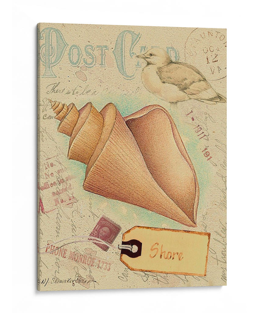 Cáscaras De Postal Iii - Nancy S. Pallan | Cuadro decorativo de Canvas Lab