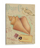 Cáscaras De Postal Iii - Nancy S. Pallan | Cuadro decorativo de Canvas Lab
