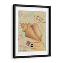 Cáscaras De Postal Iii - Nancy S. Pallan | Cuadro decorativo de Canvas Lab