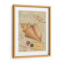 Cáscaras De Postal Iii - Nancy S. Pallan | Cuadro decorativo de Canvas Lab