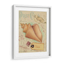 Cáscaras De Postal Iii - Nancy S. Pallan | Cuadro decorativo de Canvas Lab