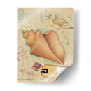 Cáscaras De Postal Iii - Nancy S. Pallan | Cuadro decorativo de Canvas Lab