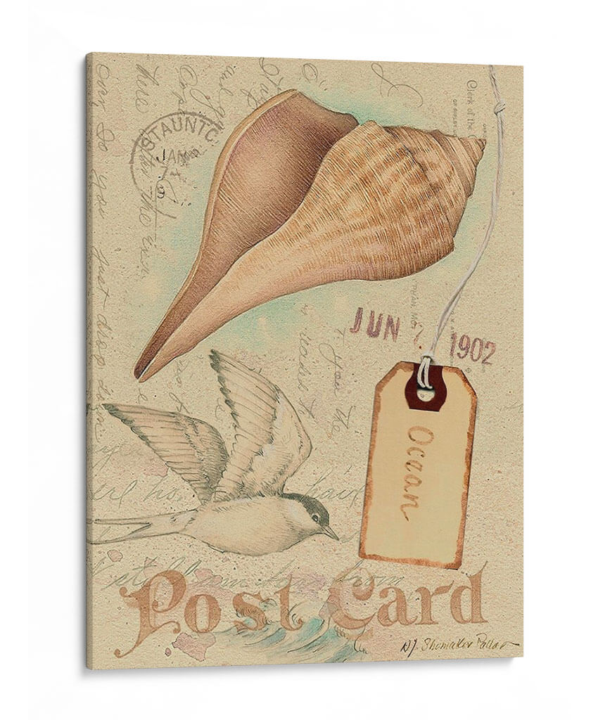 Cáscaras De Postal Iv - Nancy S. Pallan | Cuadro decorativo de Canvas Lab
