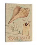 Cáscaras De Postal Iv - Nancy S. Pallan | Cuadro decorativo de Canvas Lab