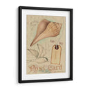 Cáscaras De Postal Iv - Nancy S. Pallan | Cuadro decorativo de Canvas Lab