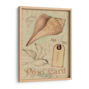 Cáscaras De Postal Iv - Nancy S. Pallan | Cuadro decorativo de Canvas Lab