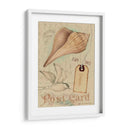 Cáscaras De Postal Iv - Nancy S. Pallan | Cuadro decorativo de Canvas Lab