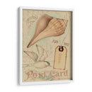 Cáscaras De Postal Iv - Nancy S. Pallan | Cuadro decorativo de Canvas Lab