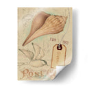 Cáscaras De Postal Iv - Nancy S. Pallan | Cuadro decorativo de Canvas Lab