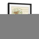 Papillon Melange Ii - Vision Studio | Cuadro decorativo de Canvas Lab