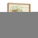 Papillon Melange Ii - Vision Studio | Cuadro decorativo de Canvas Lab