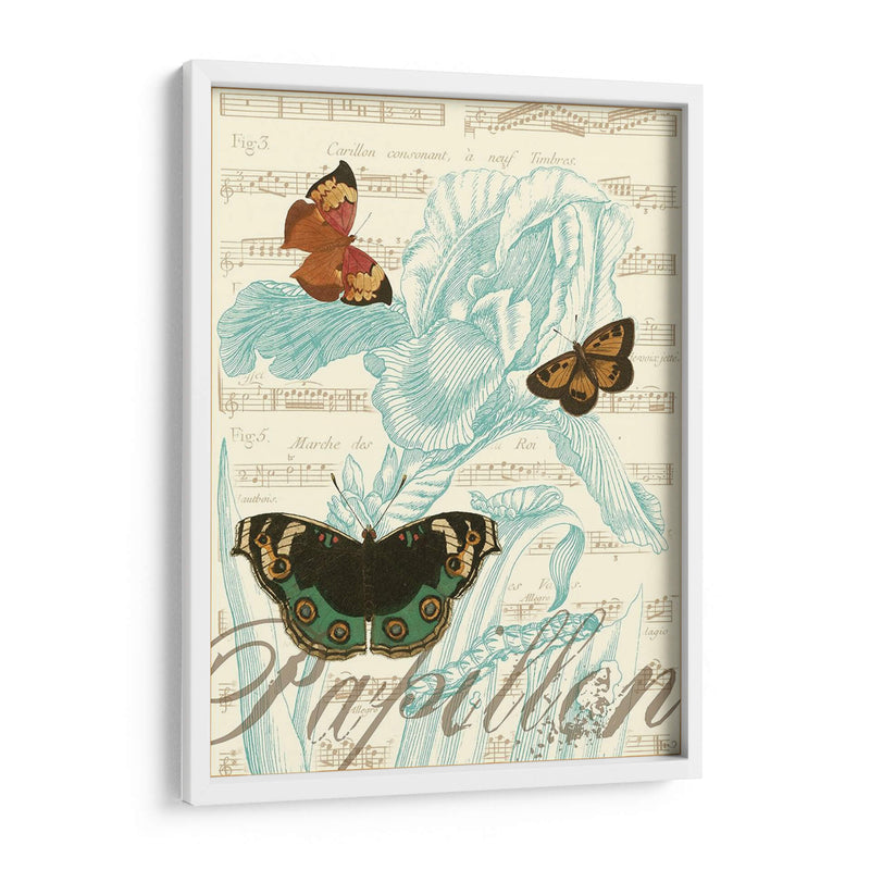 Papillon Melange Iii - Vision Studio | Cuadro decorativo de Canvas Lab