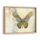 Pequeña Tarjeta Postal Iv - Jennifer Goldberger | Cuadro decorativo de Canvas Lab