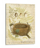 Nido Melódico Y Huevos Ii - Vision Studio | Cuadro decorativo de Canvas Lab