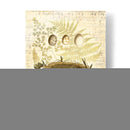 Nido Melódico Y Huevos Ii - Vision Studio | Cuadro decorativo de Canvas Lab