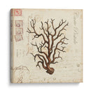 Romance Du Mer I - Vision Studio | Cuadro decorativo de Canvas Lab